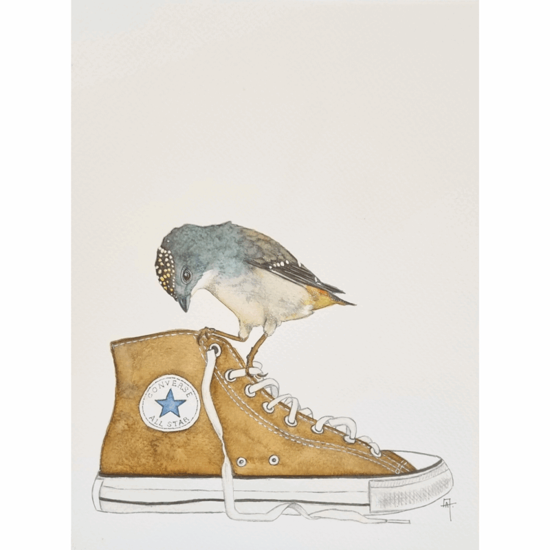 PASSARINHO ALL STAR