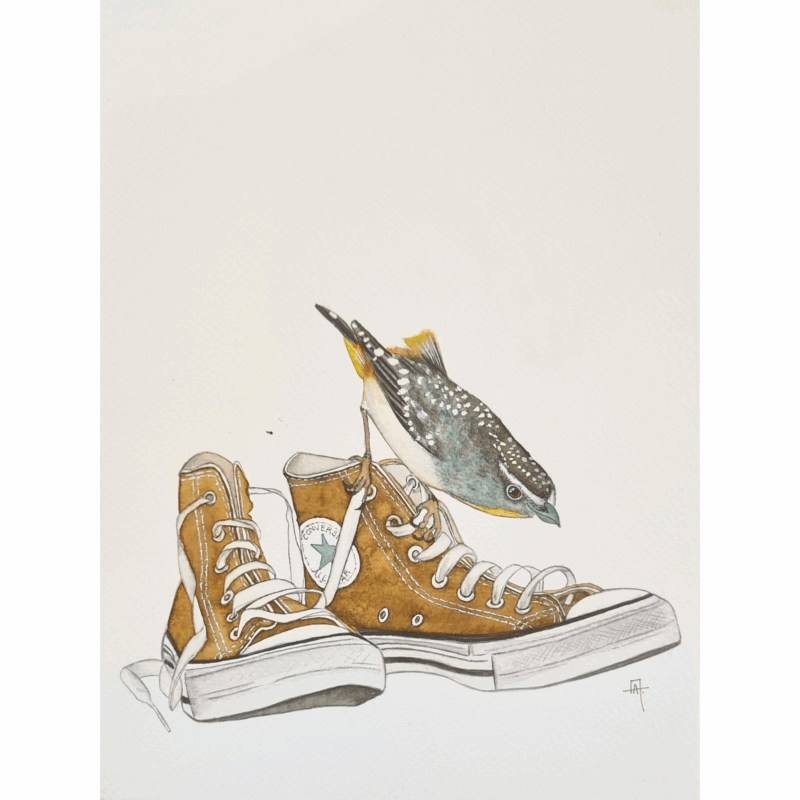 PASSARINHO ALL STAR III