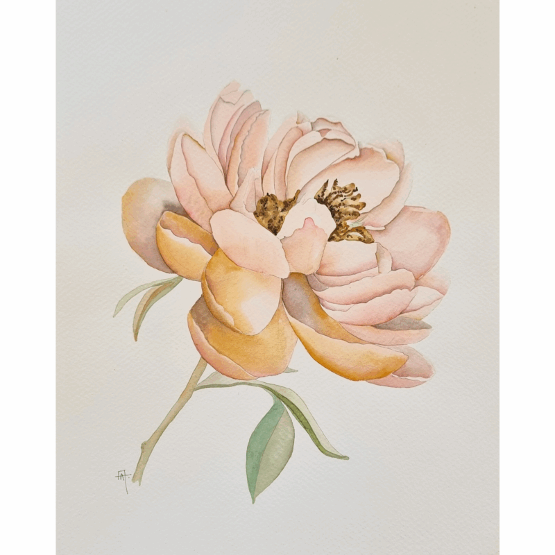 FLOR ROSA