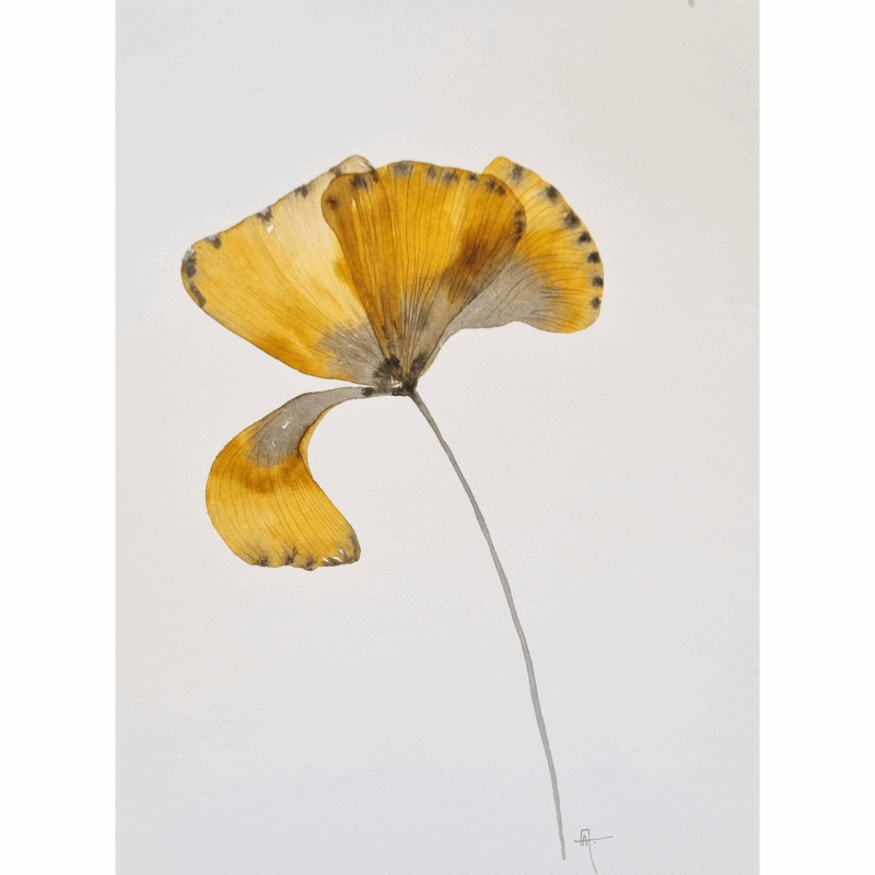 FLOR AMARELA