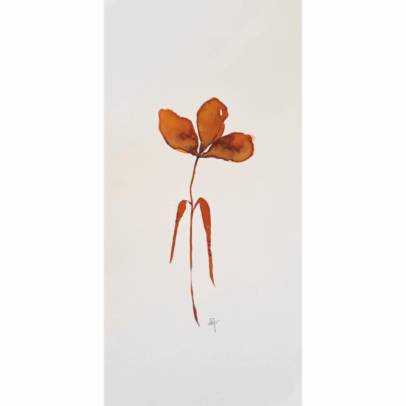FLOR FERRUGEM